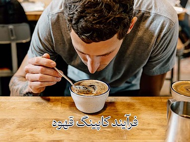 هنر چشیدن قهوه: راهنمای جامع تقویت حس چشایی برای درک حرفه‌ای طعم‌ها